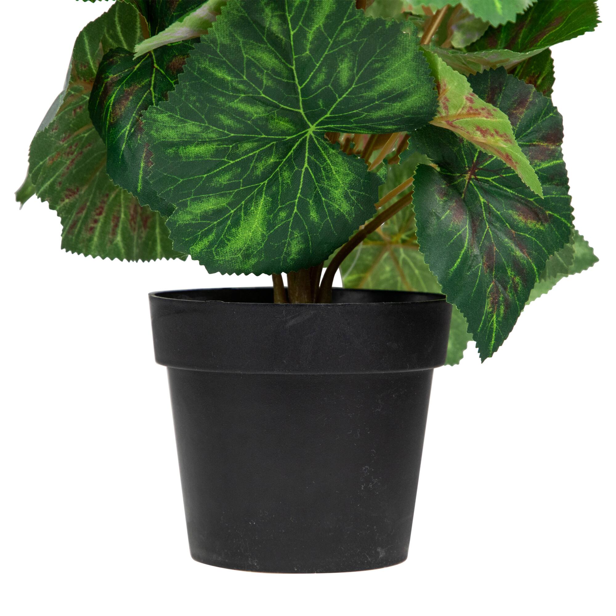 11" Red Potted Silk Begonia Floral Arrangement